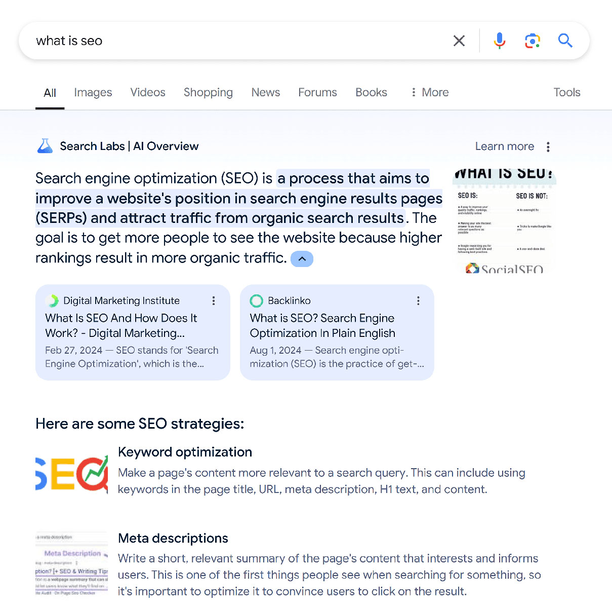 Webtique - google serp what is seo ai overview